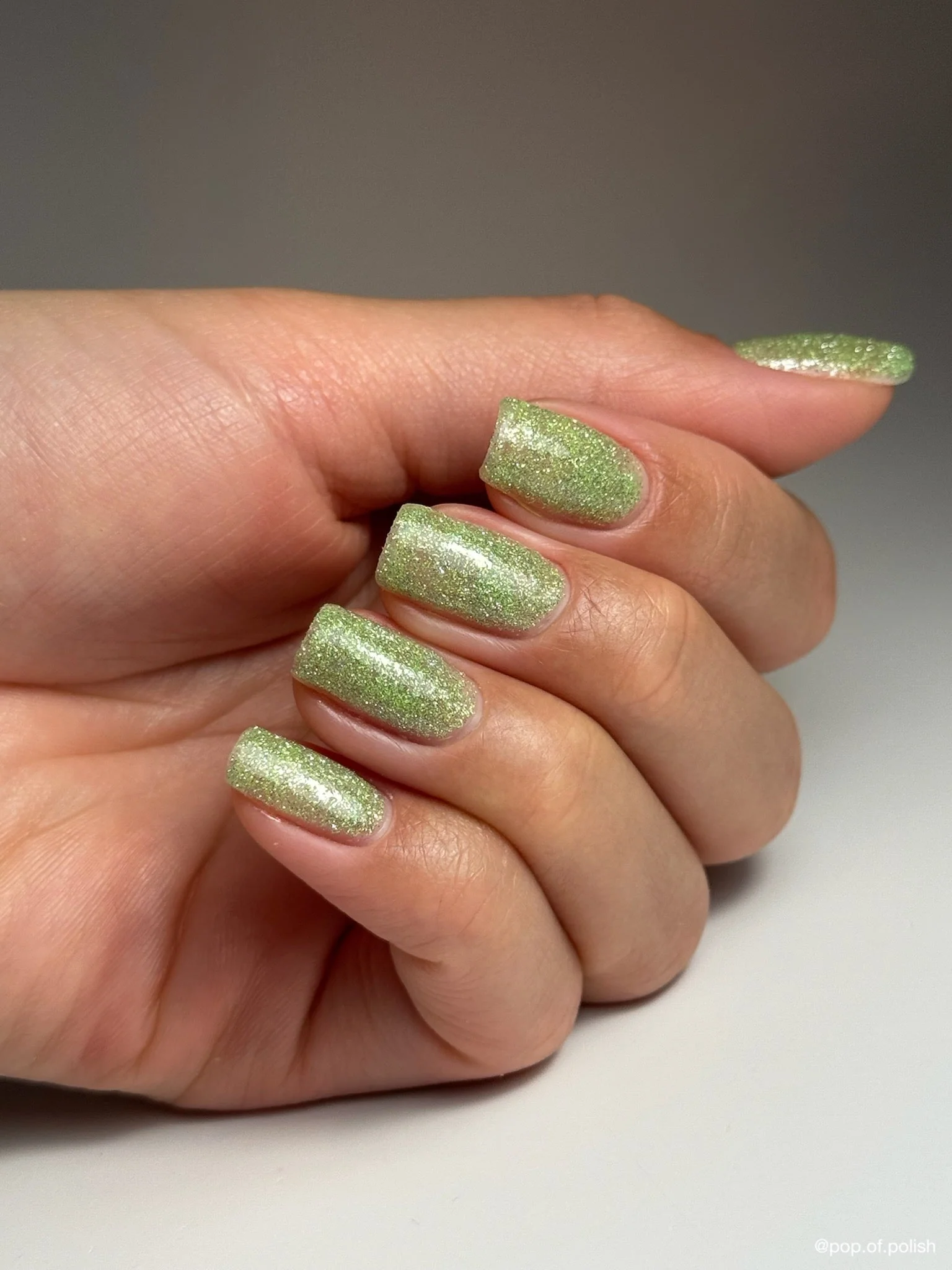 MINT BLOSSOM - Image 2